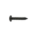 % 7981 CO - PHILLIPS. LACADO  4,8X050,0-ZN