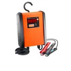 Cargador Batería Eléc 24V-10A
