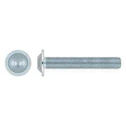 %ISO 7380-2 10.9 ZINCADO ARANDELA INCORPORADA 10X035