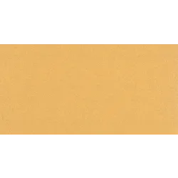 Papel de lija EXPERT C470 con 14 orificios para lijadoras orbitales 115 x 230 mm, G 100 10 unidades