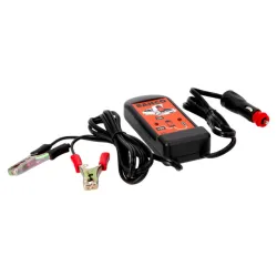 Protector De Memorias 12V