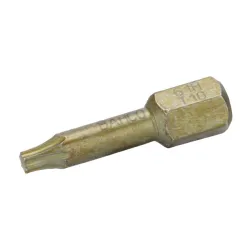 Puntas de torsión extraduras de 1/4" para tornillos de cabeza TORX® de 25 mm
